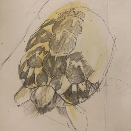 Hotel Hevresac Singular & Small Mahón