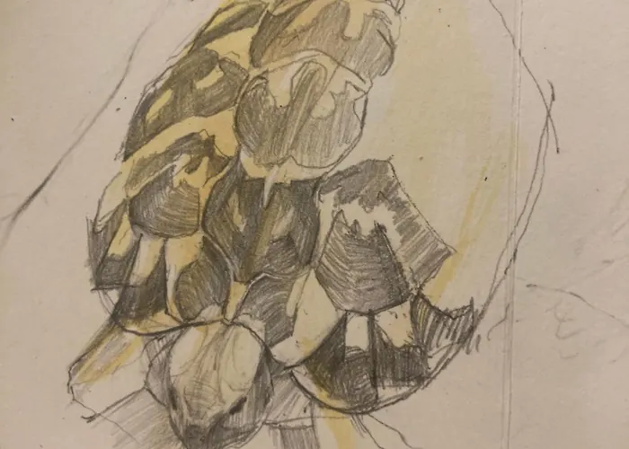 Hotel Hevresac Singular & Small Port-Mahon